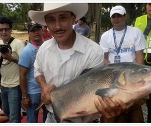 Festival Internacional de la Cachama Fuente esolecuento com